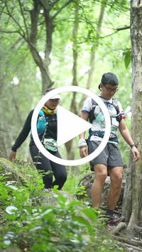 BIB:  <button type="button" onclick="openModal(27935640)" class="btn btn-primary btn-sm float-right" data-toggle="modal" data-target=".modal-high-quality">
                <i class="fa fa-download"></i> Download
                </button>